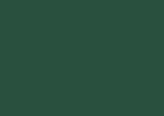 Caran d'Ache Luminance 6901 Lightfast Pencil Dark Sap Green