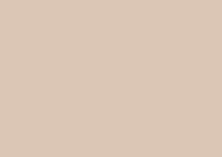 Caran d'Ache Luminance 6901 Lightfast Pencil Raw Umber 10%