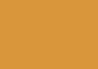 Caran d'Ache Luminance 6901 Lightfast Pencil Raw Sienna