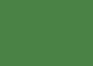 Caran d'Ache Luminance 6901 Lightfast Pencil Moss Green