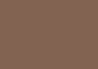 Caran d'Ache Luminance 6901 Lightfast Pencil Raw Umber