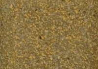 Laguna Clay Soladate-60 Clay C10 25lb