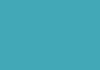 Canson Colorline Art Paper 150 gsm 19x25 Turquoise Blue
