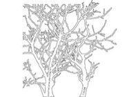 The Crafter's Workshop Stencils Branches Reverse 12x12