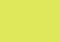 Canson Colorline Art Paper 150 gsm 19x25 Lime Green