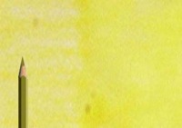 Caran d'Ache Supracolor Aquarelle Pencil 240 Lemon Yellow