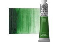 Winton Oil Color 200ml Terre Verte