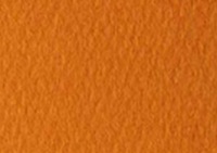 Canson Mi-Teintes Tinted Paper 19x25 #453 Orange