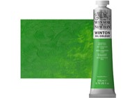 Winton Oil Color 200ml Permanent Green Light
