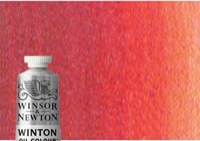 Winton Oil Color 37ml Light Red