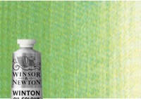 Winton Oil Color 37ml Terre Verte