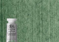 Winsor & Newton Professional Watercolor Terre Verte 5ml Tube