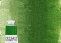 Williamsburg Oil Color 37ml Cadmium Green