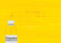 Williamsburg Oil Color 37ml Permanent Yellow Medium