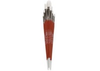 Prowhite Brushes Series 200 8 Set