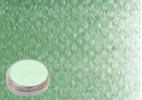 Pan Pastel 9ml Chrome Oxide Green Shade