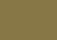 Caran d'Ache Luminance 6901 Lightfast Pencil Olive Brown