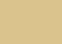 Caran d'Ache Luminance 6901 Lightfast Pencil Olive Brown 10%