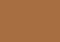 Caran d'Ache Luminance 6901 Lightfast Pencil Brown Ochre