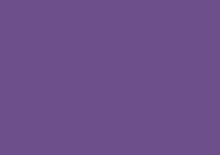 Caran d'Ache Luminance 6901 Lightfast Pencil Violet Brown