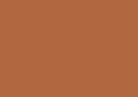 Caran d'Ache Luminance 6901 Lightfast Pencil Burnt Ochre