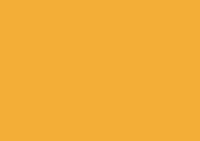 Caran d'Ache Luminance 6901 Lightfast Pencil Yellow Ochre