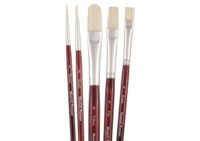 New York Central Munich Premier Bristle Blend Brush Basic Set of 5