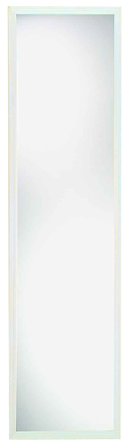 Renin 206230 Framed Mirror, Rectangular, 49 in W Mirror, Plastic Frame