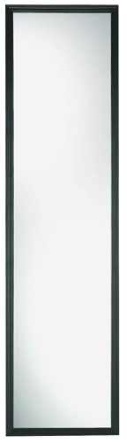 Renin 206190 Framed Mirror, Rectangular, 49 in W Mirror, Plastic Frame