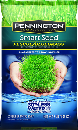 Pennington 100526630 Grass Seed, 3 lb Bag