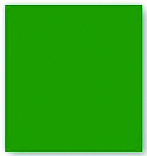 Hometown Holidays Gift Tissue Paper | Green | 20 X 20 In