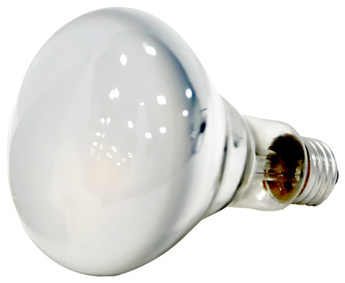 Sylvania 15160 Directional Incandescent Lamp, 65 W, BR30 Lamp, Medium