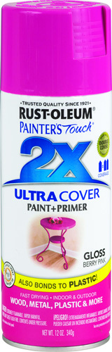 RUST-OLEUM PAINTER'S Touch 249123 General-Purpose Gloss Spray Paint, Gloss,