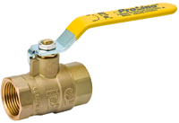 B & K 107-828NL Ball Valve, 2 in FPT x FPT, 2 Ports/Ways, Brass
