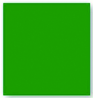 Hometown Holidays Gift Tissue Paper | Green | 20 X 20 In