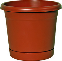 Southern Patio RR0624TC Rolled Rim Planter, 5.6 in H, Round, Plastic,