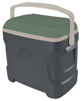 IGLOO 49625 Ice Chest, 30 qt Cooler, HDPE Resin, Green