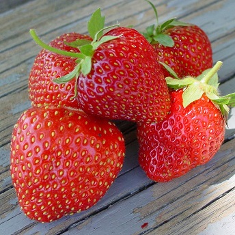 STRAW JEWEL JUMBO 6 PAC