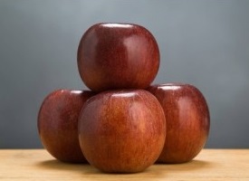 MALUS WINECRISP APPLE #7 DWF