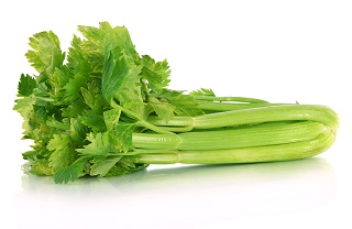 E606T/36CELERY TANGO