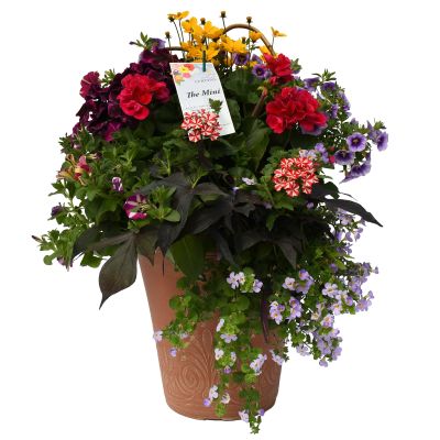 TUB13"MINI AWESOME COMBO