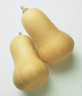 E4.75T/10SQUASH BUTTERNUT