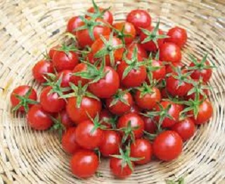E4.75T/10TOMATO HUSKY RED CHERRY