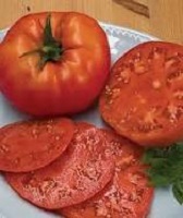 E4.75T/10TOMATO H BEEFSTEAK