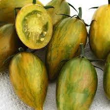 E6.5T/3TOMATO SUPERSTEAK