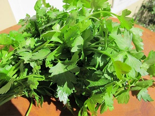 E4T/10HERB PARSLEY CURLY
