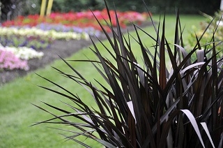 6.5T/3GRASS FIRSTKNIGHT