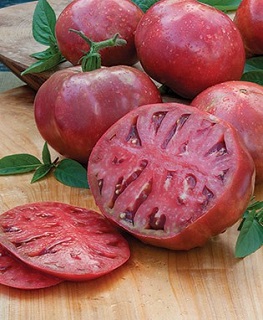 E6.5T/3TOMATO HCHEROKEE PURPLE