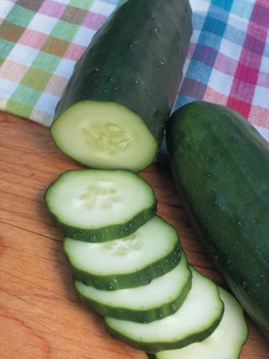 E-4.75" CUCUMBER SLICING