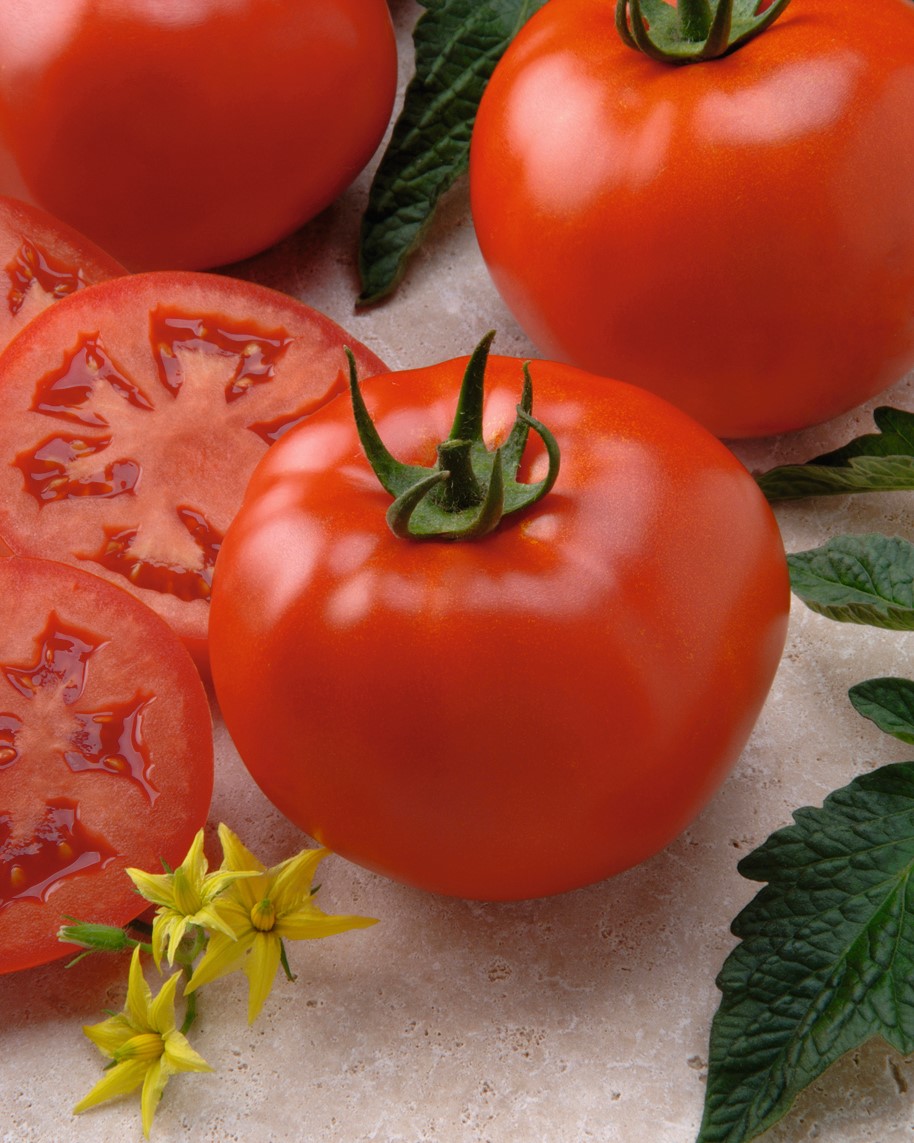 E-4.75" TOMATO BETTERBOY